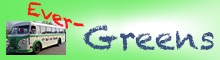 Evergreens (Das Beste Aus Vergangenen Zeiten)