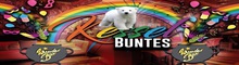 Kessel Buntes