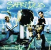 Safri Duo - Played - A - Live The Bongo Song